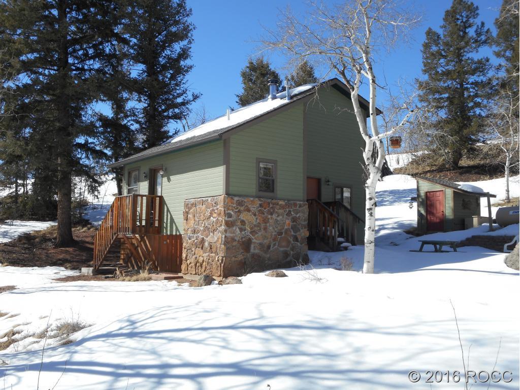 44 Riata Run Road Hartsel, CO 80449 - Photo 1 of 18 a front view of a house with a tree