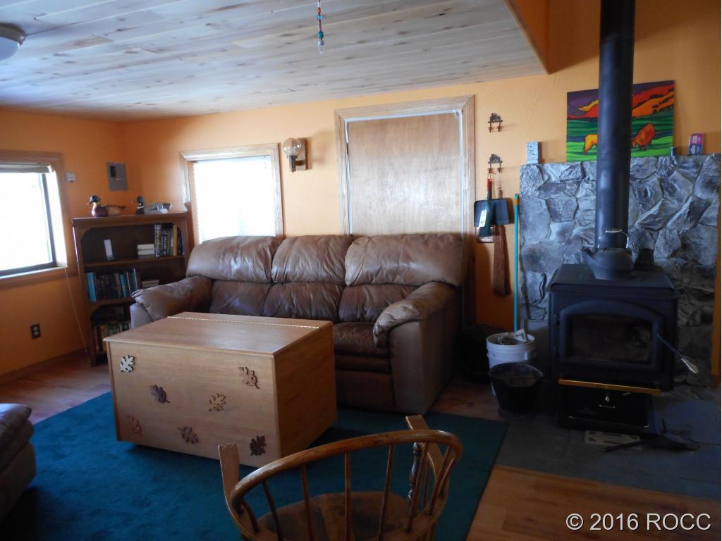 44 Riata Run Road Hartsel, CO 80449 - Photo 11 of 18 a living room with furniture and a fireplace