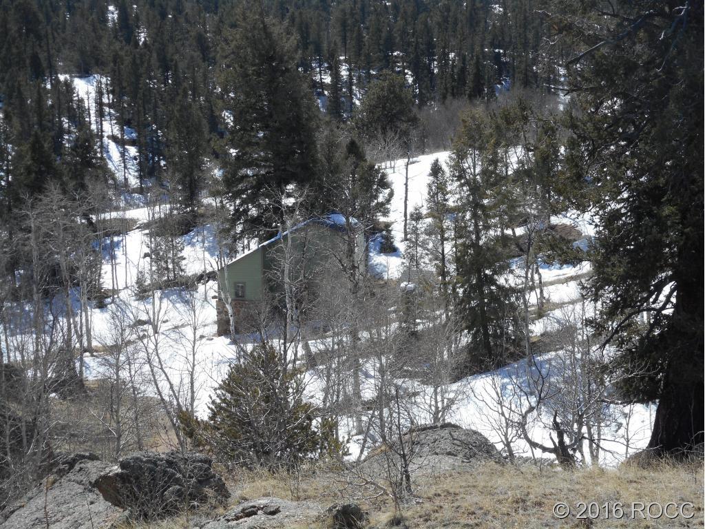 44 Riata Run Road Hartsel, CO 80449 - Photo 16 of 18 a view of a tree