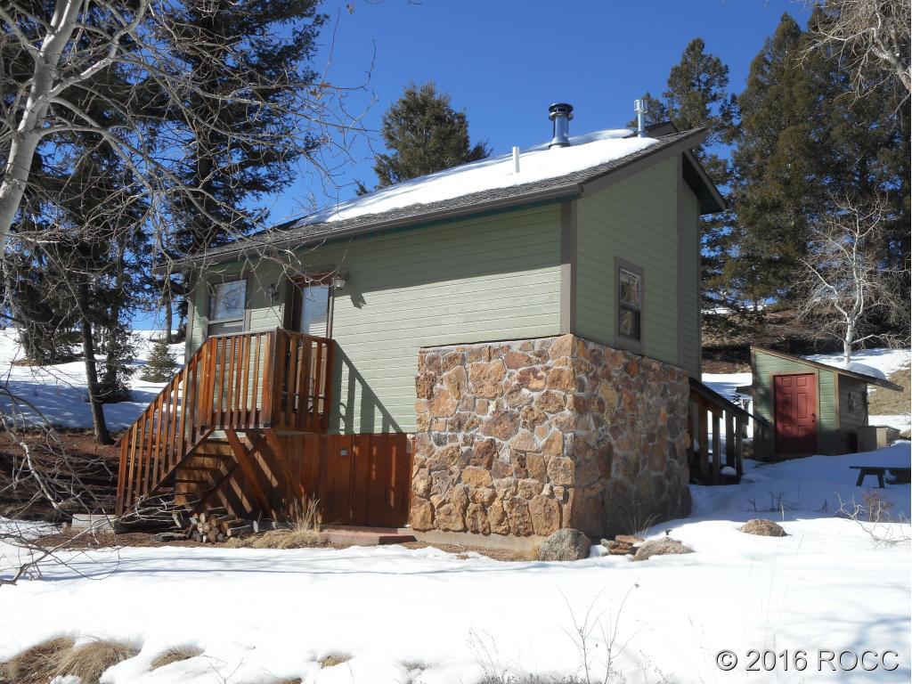 44 Riata Run Road Hartsel, CO 80449 - Photo 3 of 18 a view of a house with a snow in the background