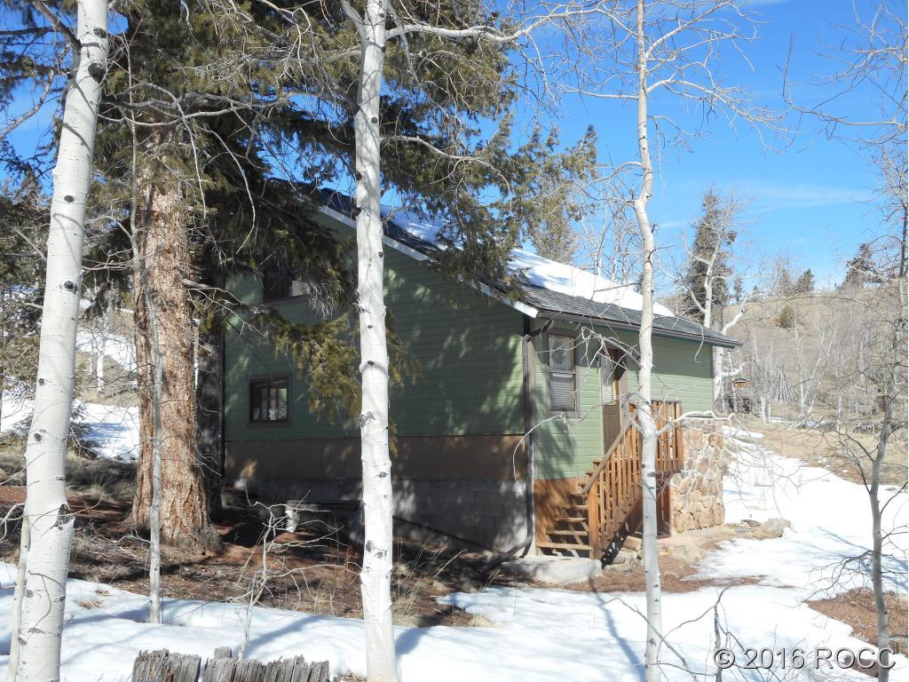 44 Riata Run Road Hartsel, CO 80449 - Photo 4 of 18 a view of a building with a tree