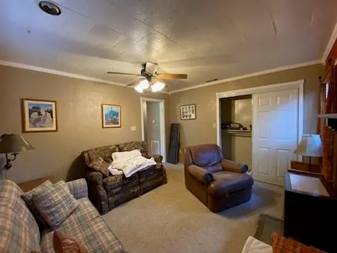a living room with furniture ceiling fan and a wooden floor