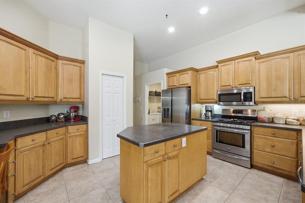 2138 Edelweiss Loop Trinity, FL 34655 - Photo 18 of 46