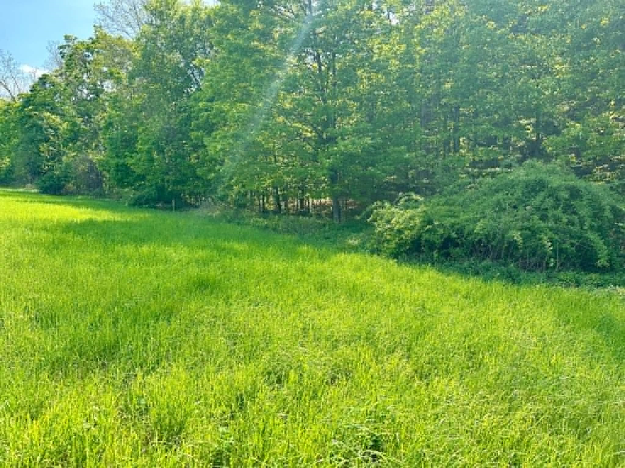 Lot A Sweet Pond Road, Unit LOT 1 Guilford, VT 05301 - Photo 5 of 9