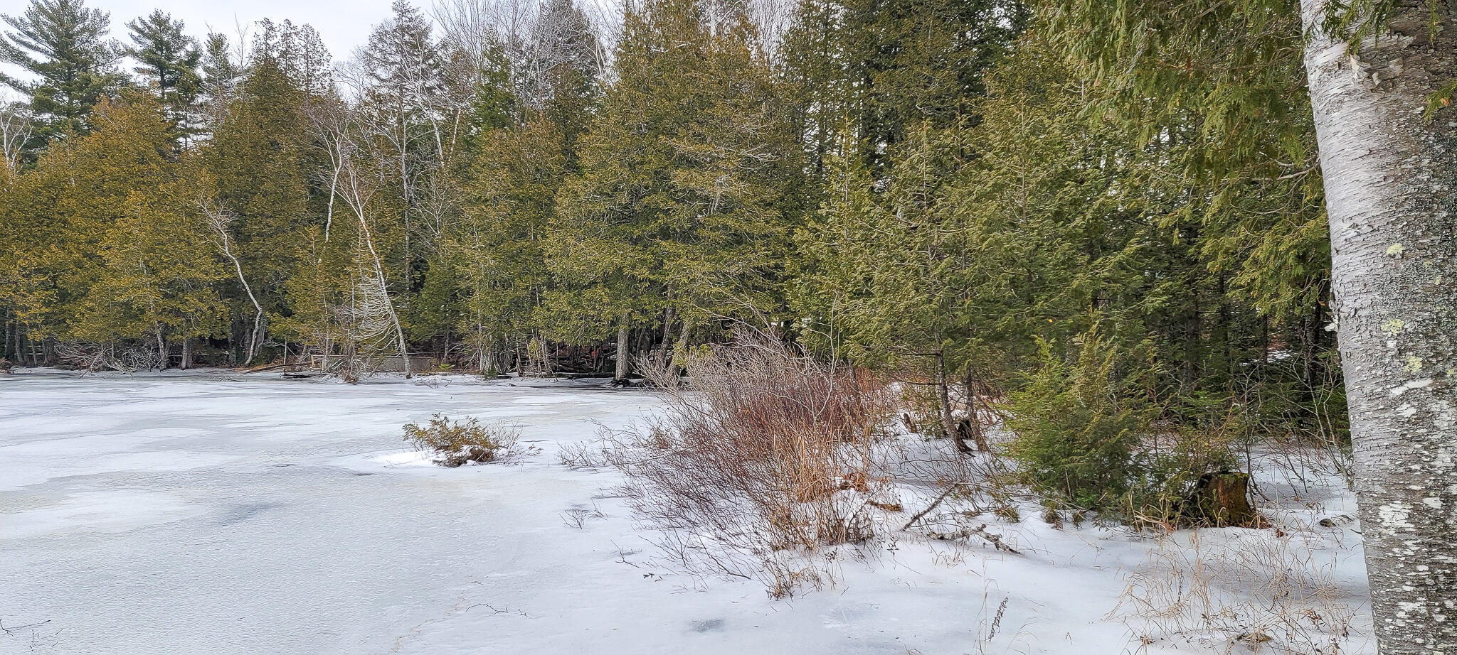 4 Pullyard Sangerville, ME 04479 - Photo 15 of 33 20230103_141201