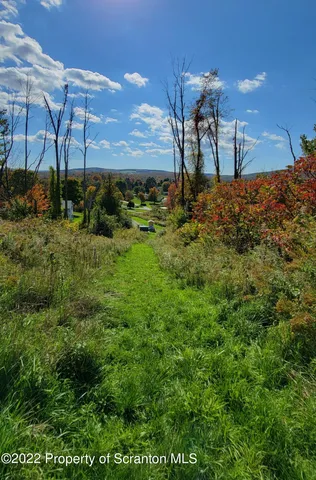 a view of a lot of trees