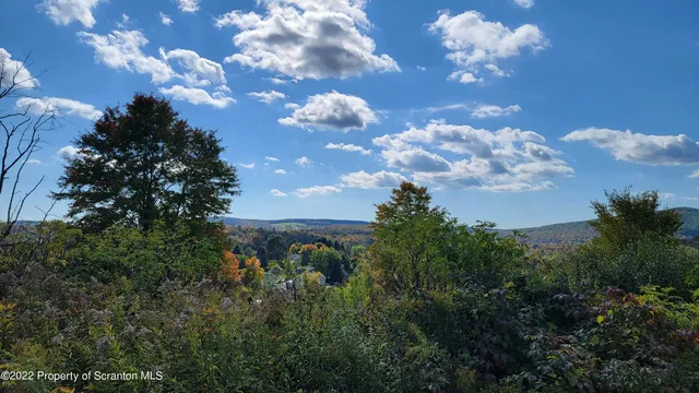 a view of a city with lots of green space