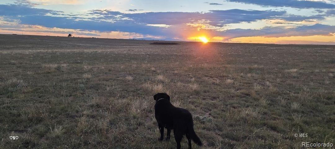 0 East Jones Road Rush, CO 80833 - Photo 1 of 14