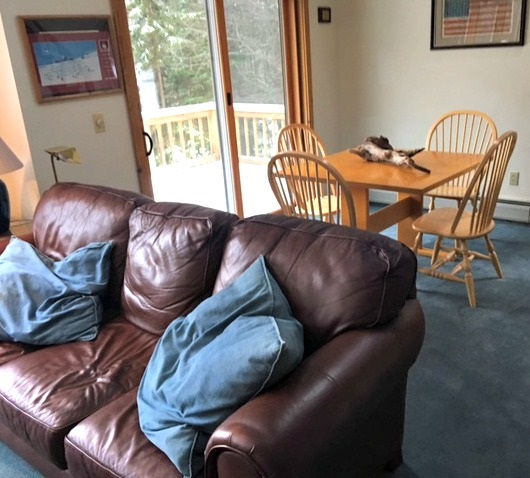 8 Tall Pines Road Winhall, VT 05340 - Photo 9 of 23 Gallery Image 9