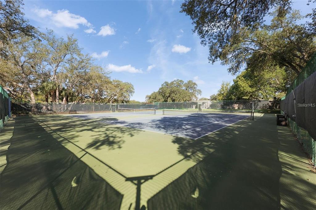 11541 Orleans Lane Port Richey, FL 34668 - Photo 48 of 52