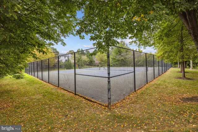 a view of backyard and tree