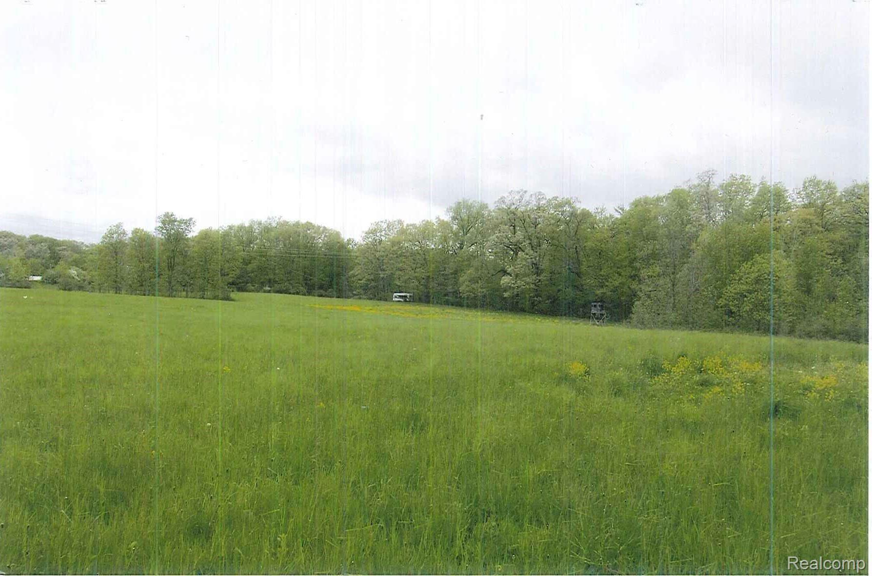 2 Latson Road Howell, MI 48855 - Photo 5 of 8 Latson 5.jpg