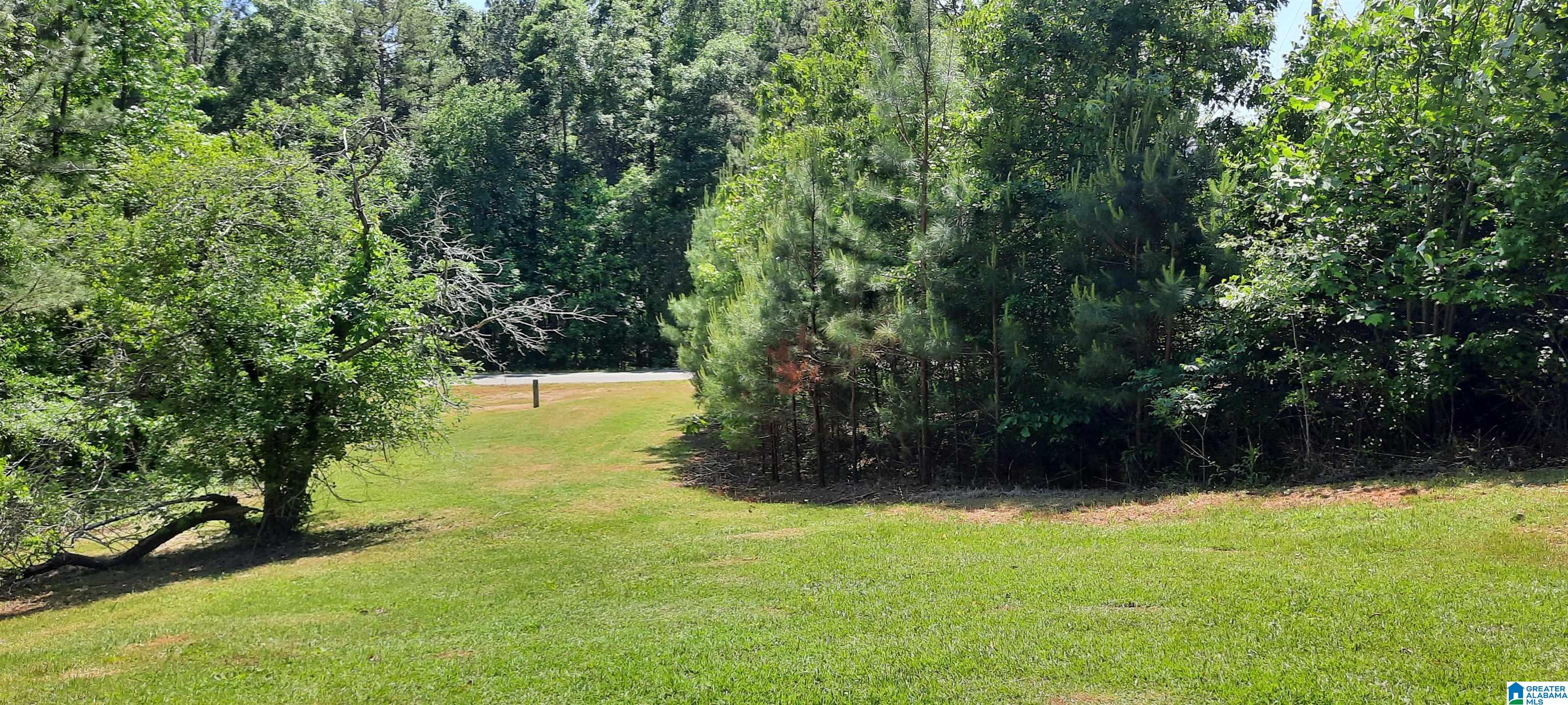 10778 County Road 19 Heflin, AL 36264 - Photo 14 of 41