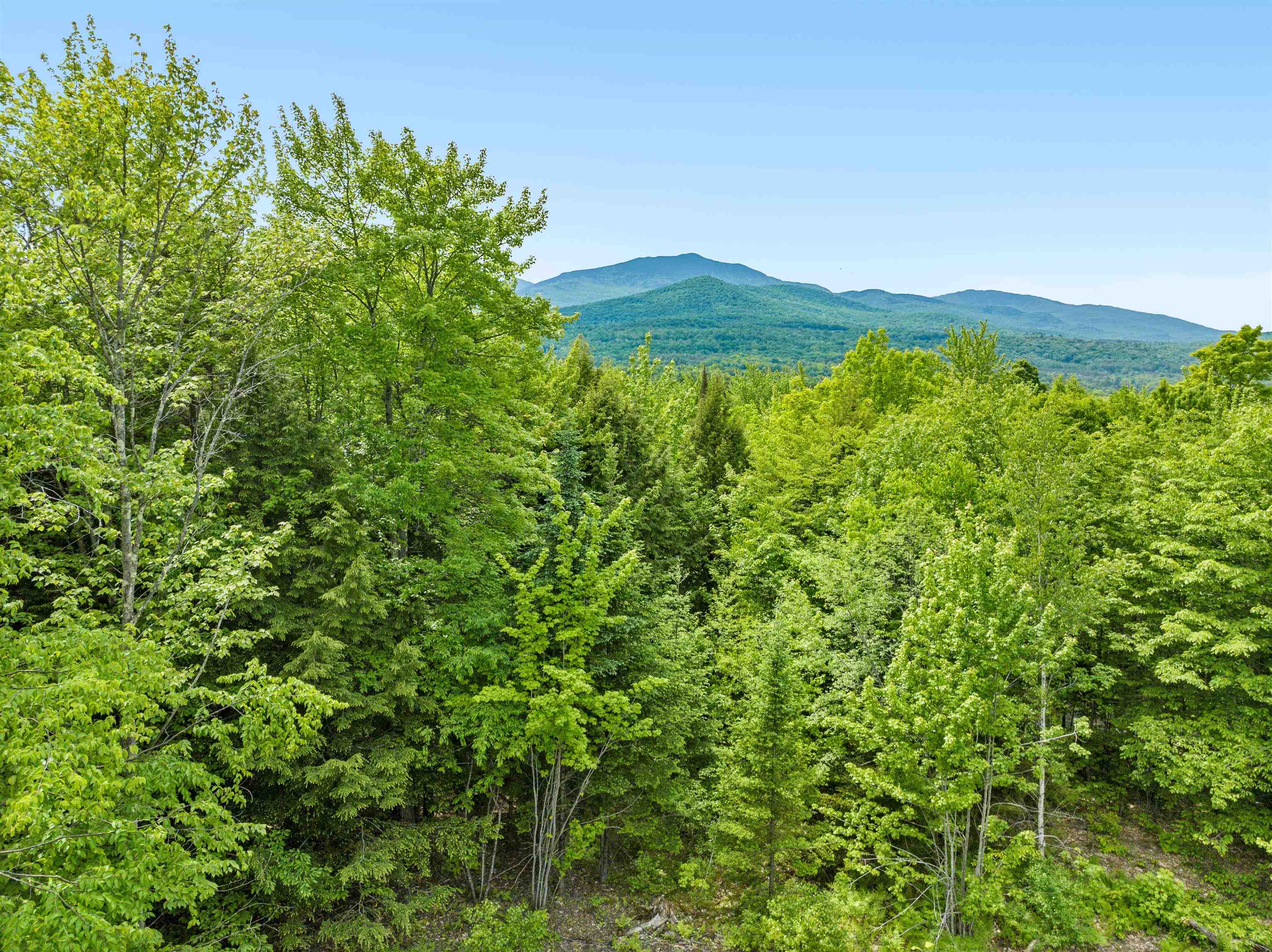 156 White Birch Road Morristown, VT 05661 - Photo 7 of 16