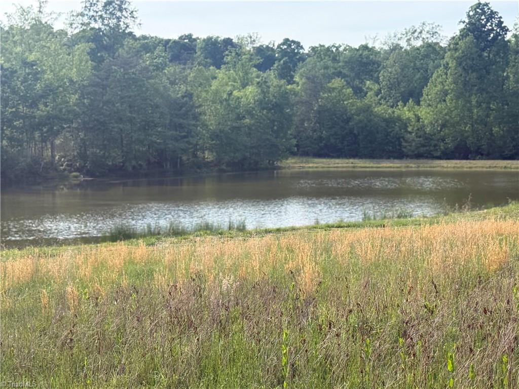 0 Amostown Road Sandy Ridge, NC 27046 - Photo 32 of 33
