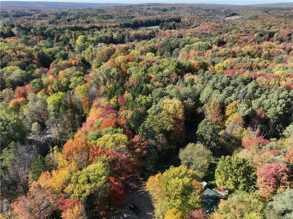 0 Miller Avenue Chaffee, NY 14030 - Photo 11 of 22