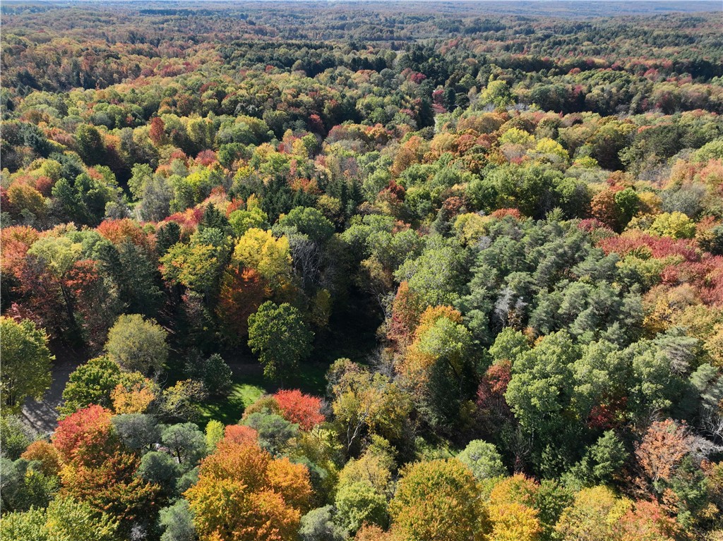 0 Miller Avenue Chaffee, NY 14030 - Photo 12 of 22