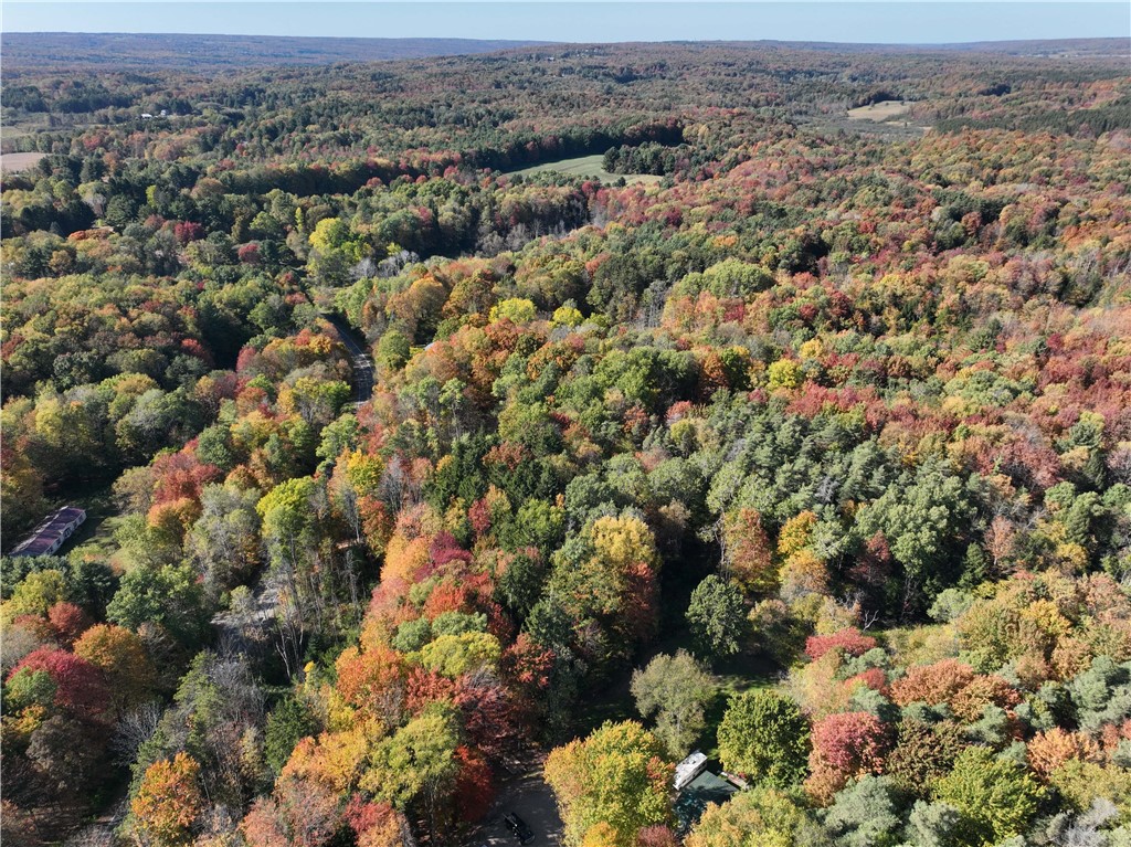 0 Miller Avenue Chaffee, NY 14030 - Photo 13 of 22