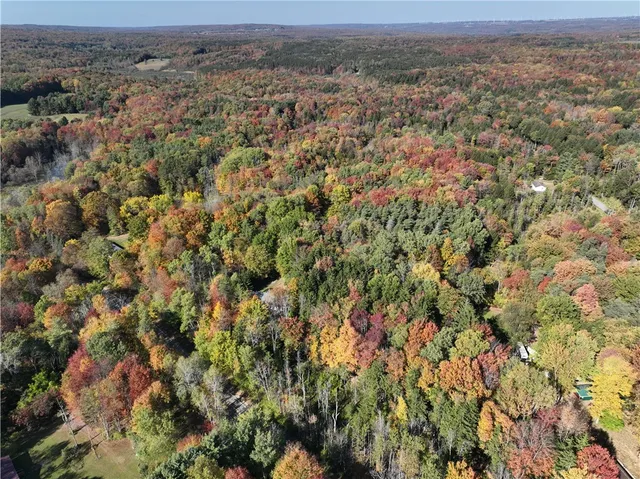 $29,000 | 0 Miller Avenue, Chaffee, NY 14030