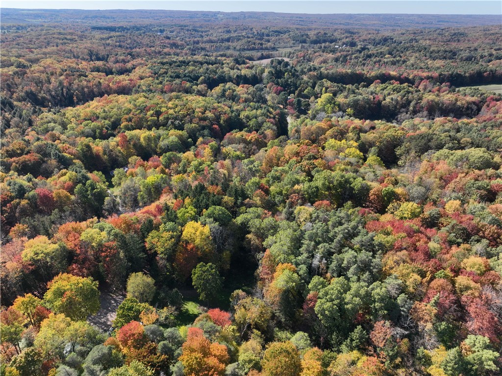 0 Miller Avenue Chaffee, NY 14030 - Photo 15 of 22