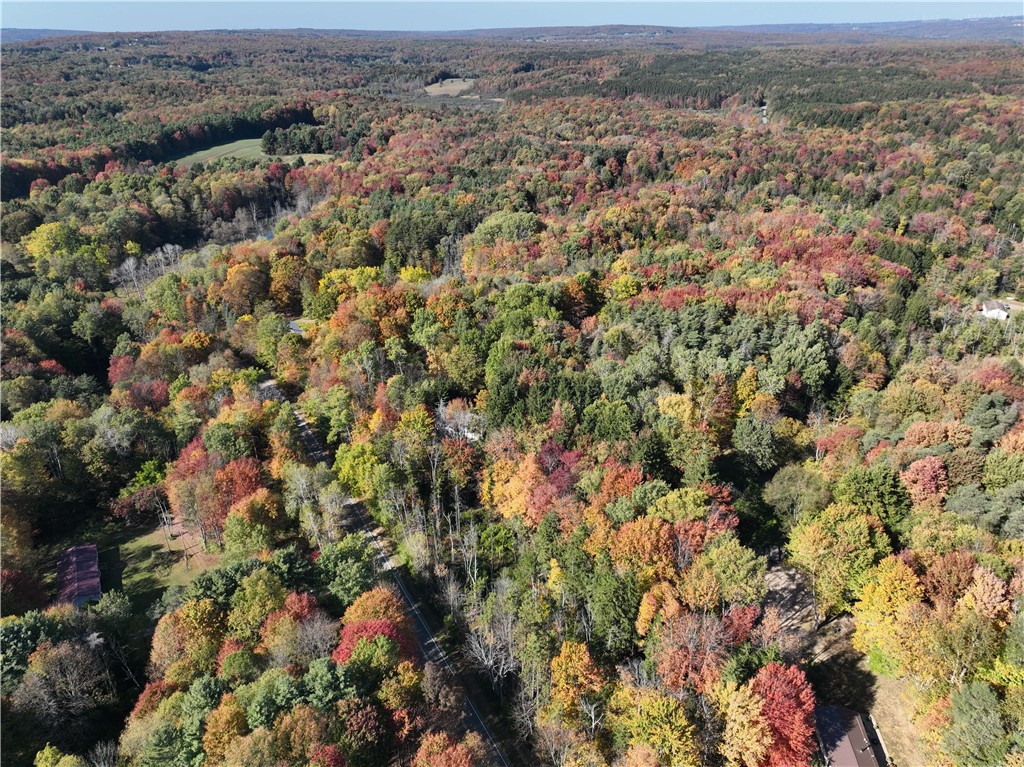 0 Miller Avenue Chaffee, NY 14030 - Photo 16 of 22