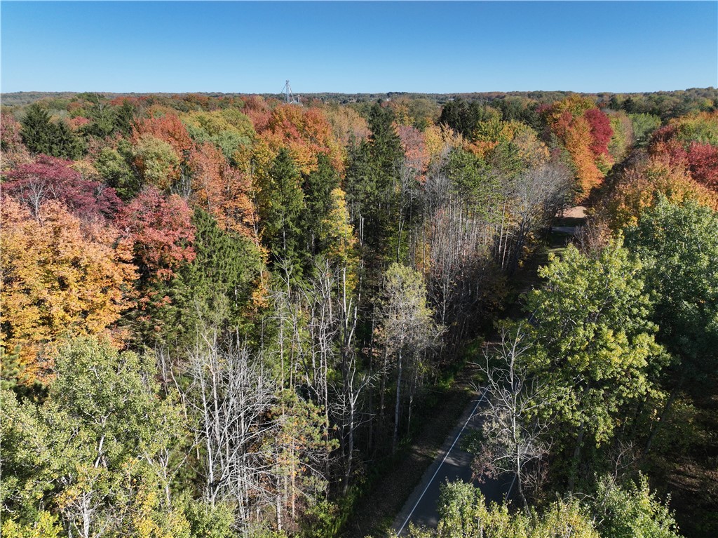 0 Miller Avenue Chaffee, NY 14030 - Photo 17 of 22