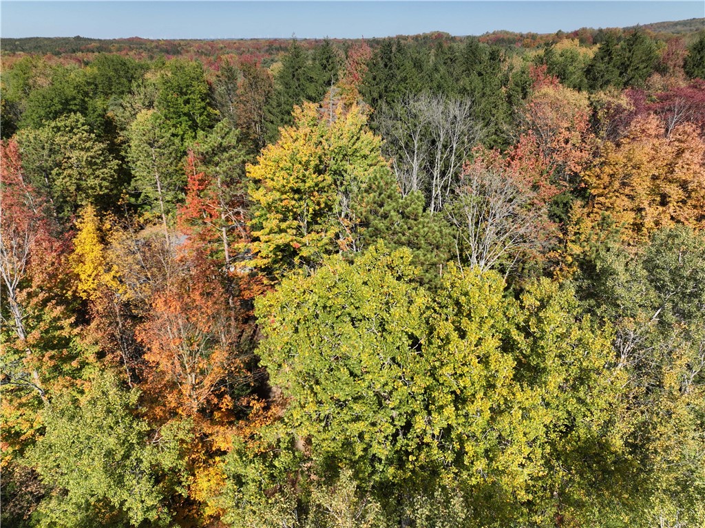 0 Miller Avenue Chaffee, NY 14030 - Photo 18 of 22