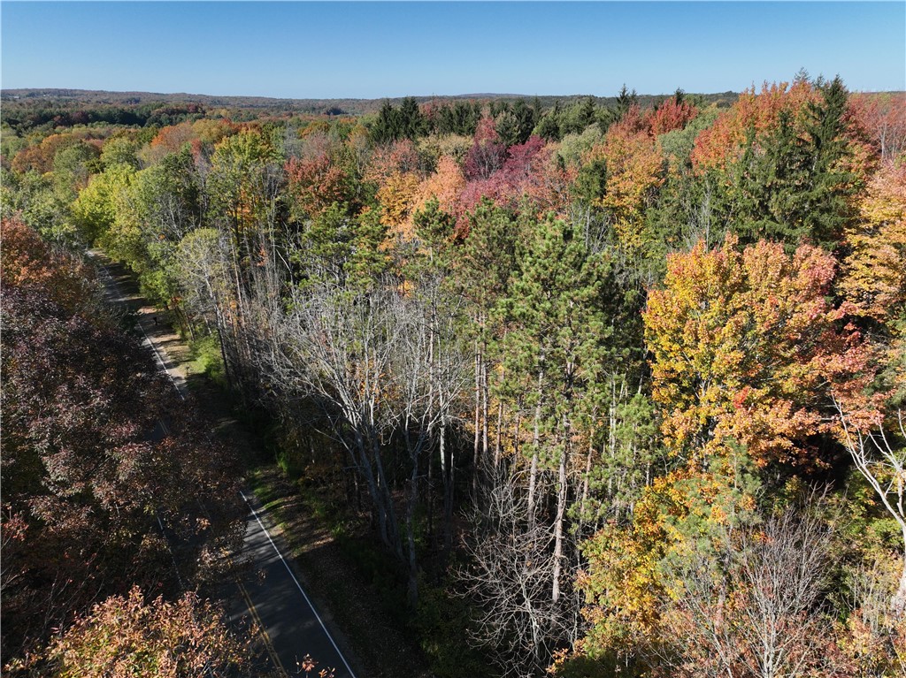 0 Miller Avenue Chaffee, NY 14030 - Photo 20 of 22