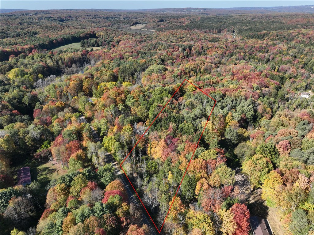 0 Miller Avenue Chaffee, NY 14030 - Photo 2 of 22