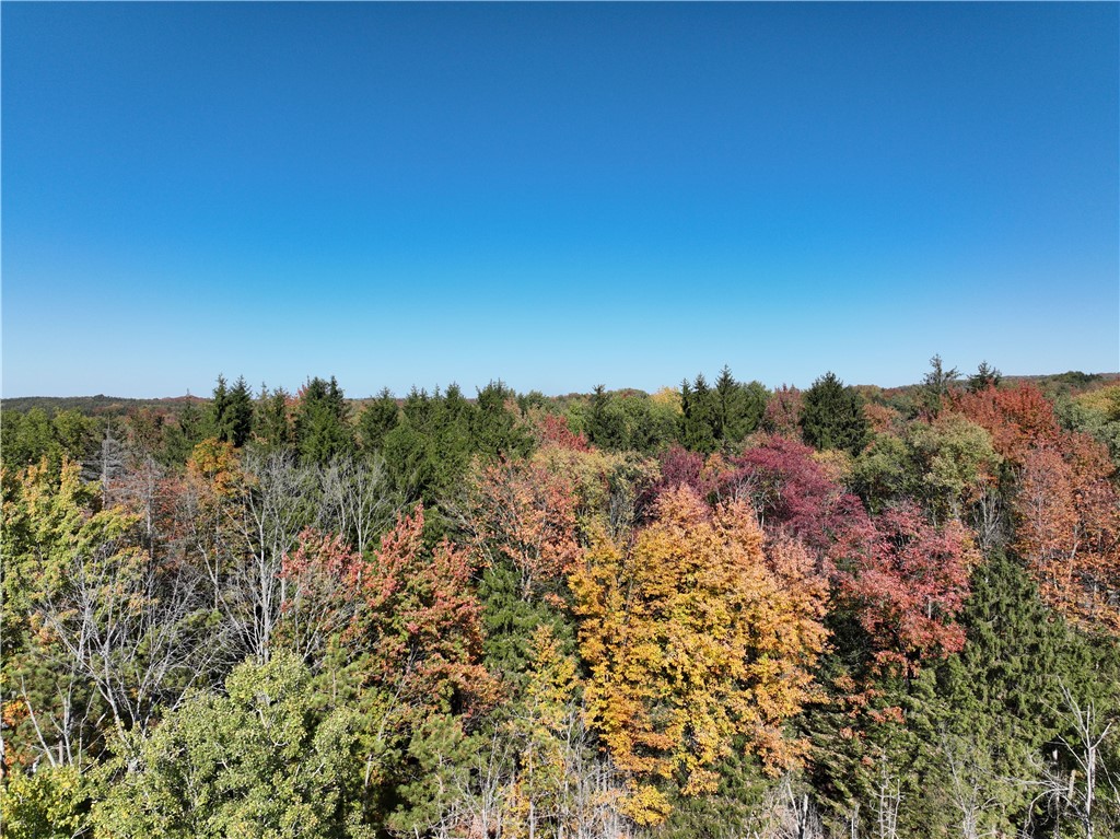 0 Miller Avenue Chaffee, NY 14030 - Photo 21 of 22