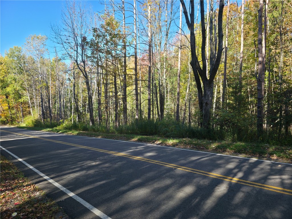 0 Miller Avenue Chaffee, NY 14030 - Photo 5 of 22