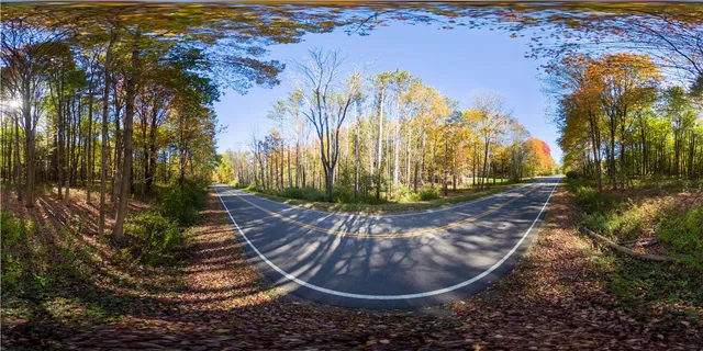 $29,000 | 0 Miller Avenue, Chaffee, NY 14030