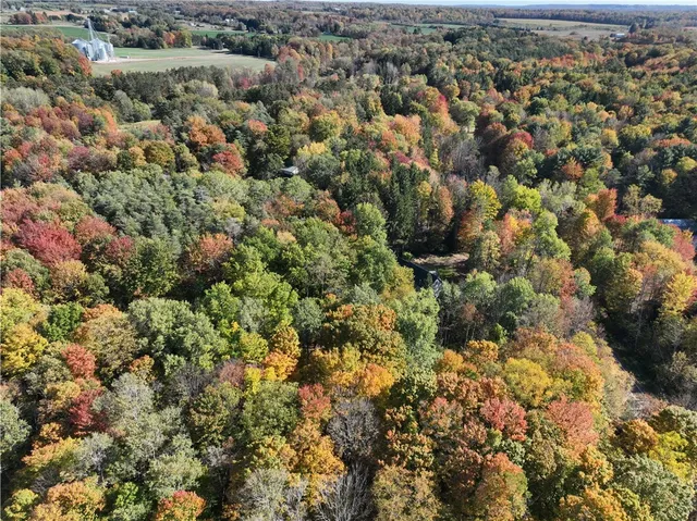 $29,000 | 0 Miller Avenue, Chaffee, NY 14030