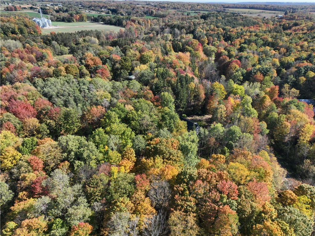 0 Miller Avenue Chaffee, NY 14030 - Photo 7 of 22