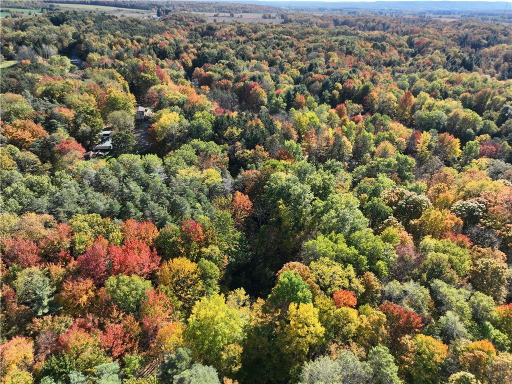 0 Miller Avenue Chaffee, NY 14030 - Photo 9 of 22