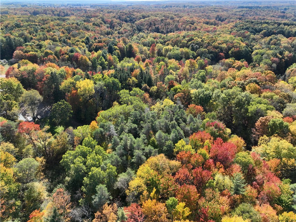 0 Miller Avenue Chaffee, NY 14030 - Photo 10 of 22