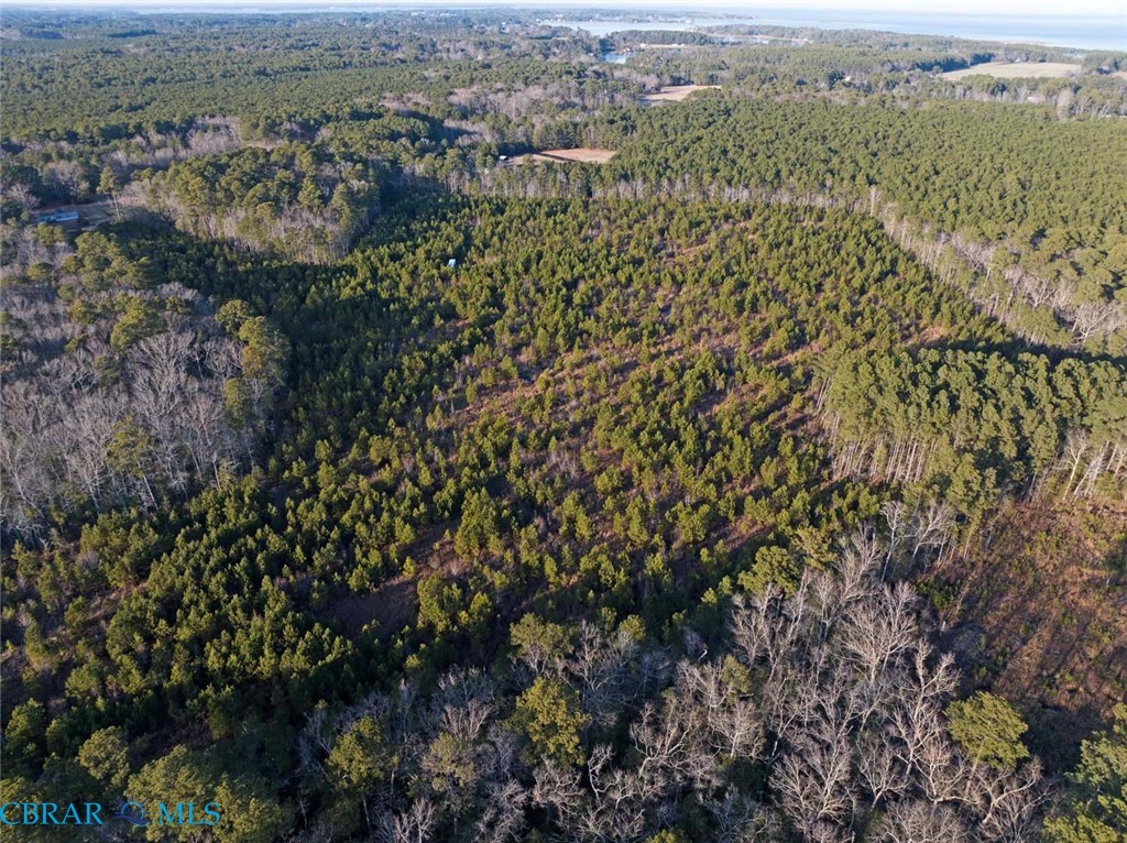 0 Salem Church Road Mathews, VA 23109 - Photo 10 of 10