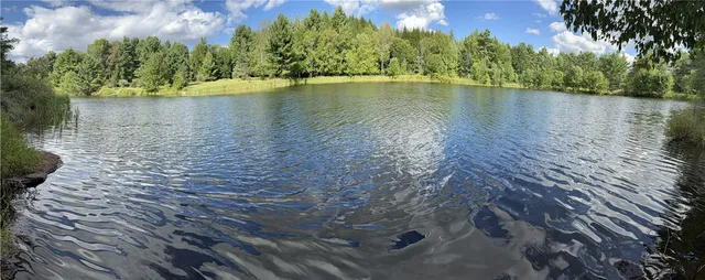 $59,900 | L11 Mountain Pond View Road, Gilboa, NY 12076