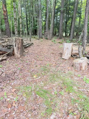 $59,900 | L11 Mountain Pond View Road, Gilboa, NY 12076