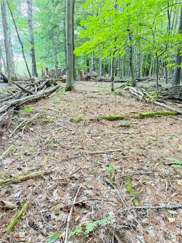 $59,900 | L11 Mountain Pond View Road, Gilboa, NY 12076