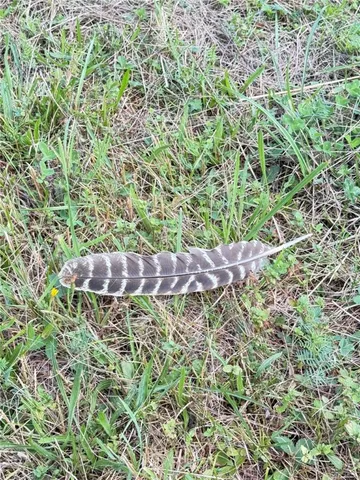 $59,900 | L11 Mountain Pond View Road, Gilboa, NY 12076