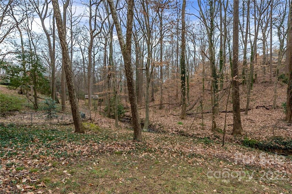 2522 Merrywood Road Charlotte, NC 28210 - Photo 19 of 21 a view of a forest with trees in the background
