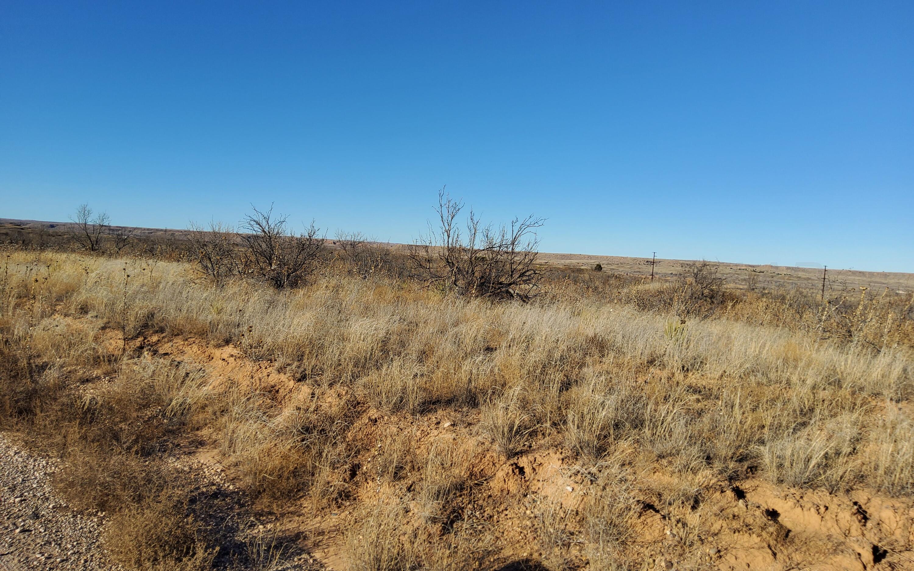 4 Quail Trail Amarillo, TX 79124 - Photo 2 of 2 20260115_155025