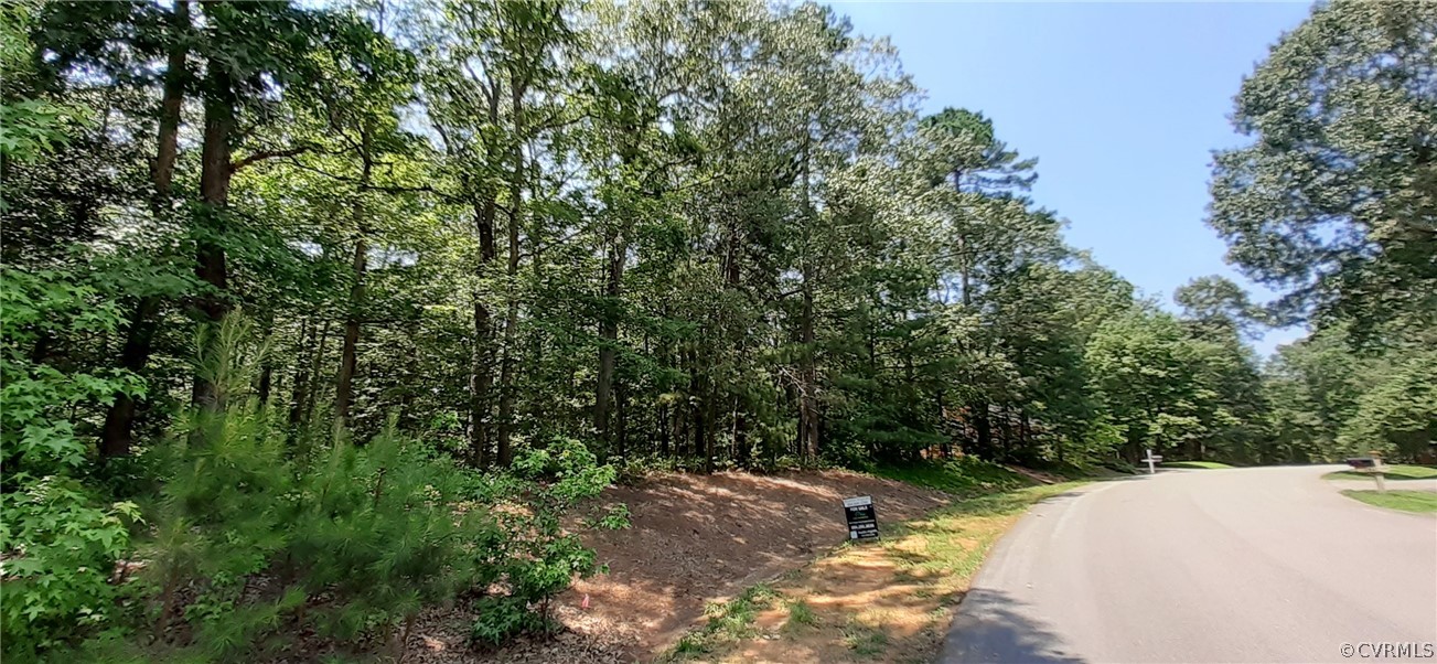 10940 Cherrybark Road Chester, VA 23831 - Photo 3 of 9 a view of a trees