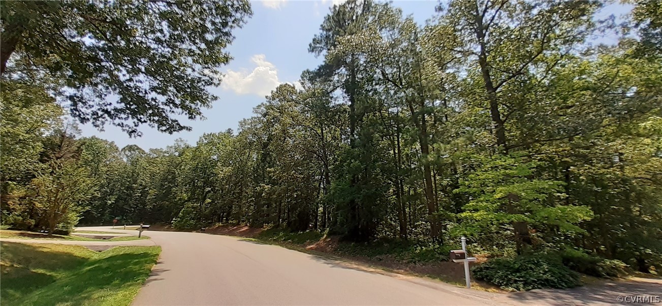 10940 Cherrybark Road Chester, VA 23831 - Photo 4 of 9 a view of a road with a trees