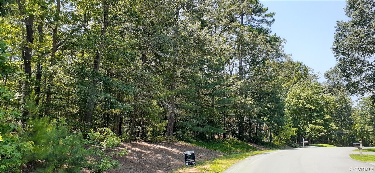 10940 Cherrybark Road Chester, VA 23831 - Photo 7 of 9 a view of a forest with a tree
