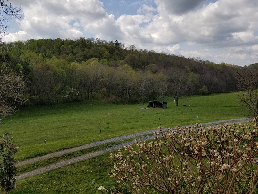 688 Etter Road Rural Retreat, VA 24368 - Photo 10 of 72 Gallery Image 10