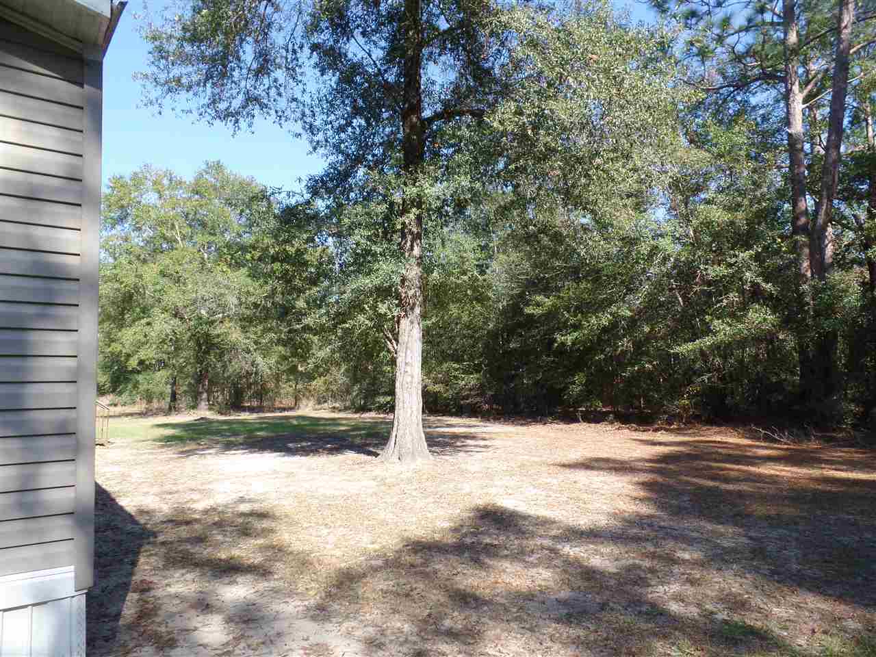 5040 B Concord Road Bascom, FL 32423 - Photo 3 of 12