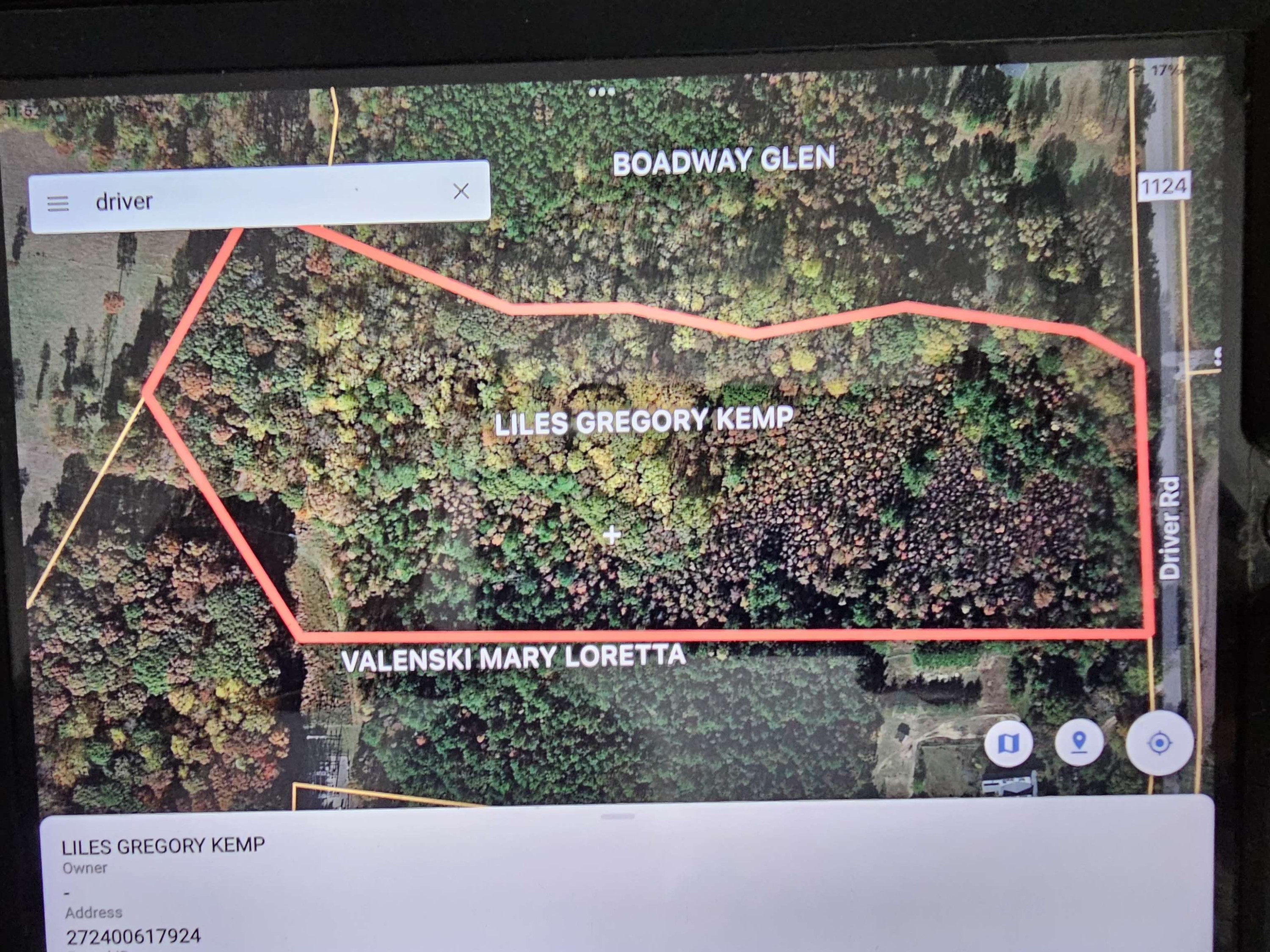 a view of a bird bath