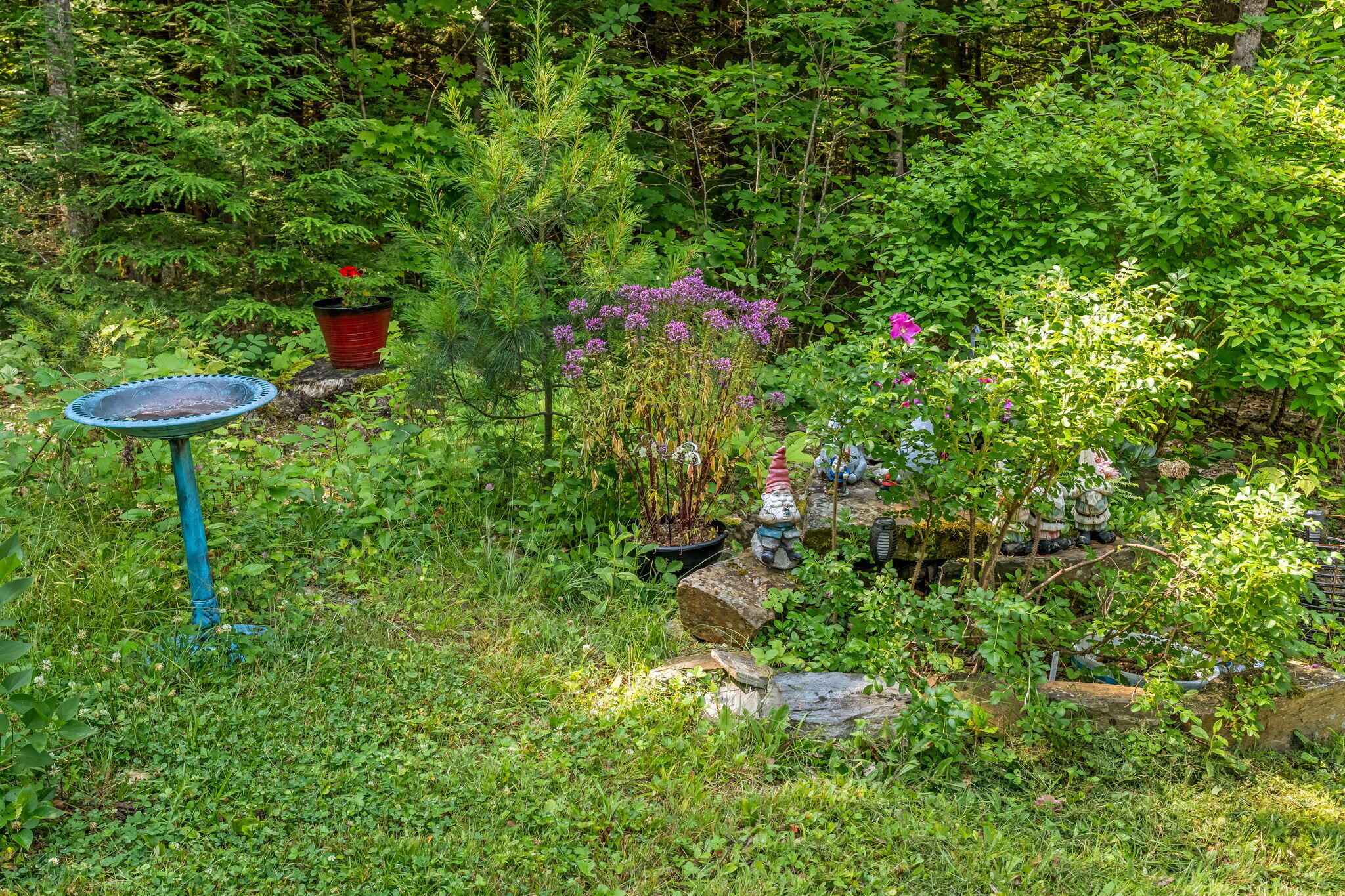 123 Fogg Road Readfield, ME 04355 - Photo 14 of 67 14-web-or-mls-123-fogg-rd (3)